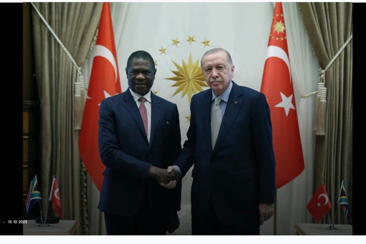 Le président Erdoğan et le vice-président sud-africain Mashatile